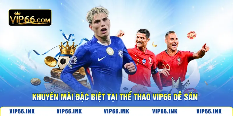 Khuyến mãi đặc biệt tại thể thao VIP66 dễ săn